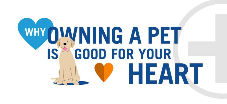 Why Owning a Pet is Good For Your Heart – Infographic