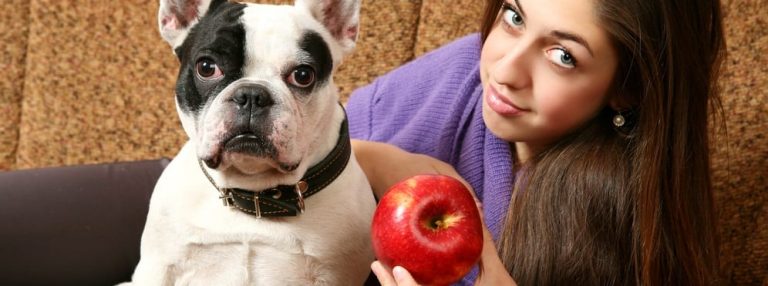 Should Your Dog Take Vitamins or Supplements?