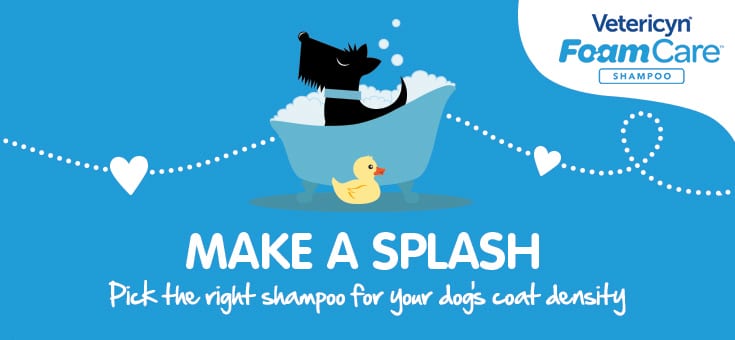 Infographic: Pick The Right Shampoo for Your Dog’s Coat