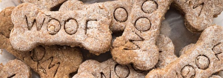 Why You Should Give Your Dog a Digestive Aid