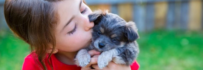 What Puppies Need to Grow Healthy