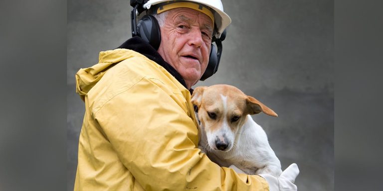 Disaster Preparedness for Pets