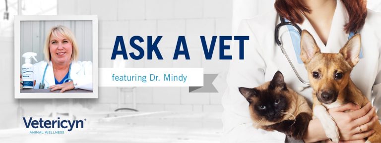 Veterinarian Dr. Mindy Answers Common Questions About Vetericyn Products